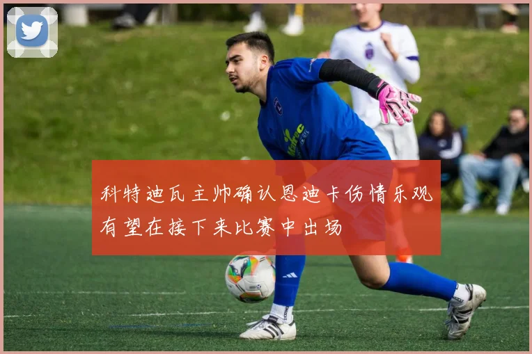 科特迪瓦主帅确认恩迪卡伤情乐观有望在接下来比赛中出场