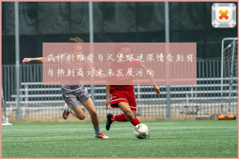 武什科维奇与汉堡球迷深情告别将与热刺商讨未来发展方向